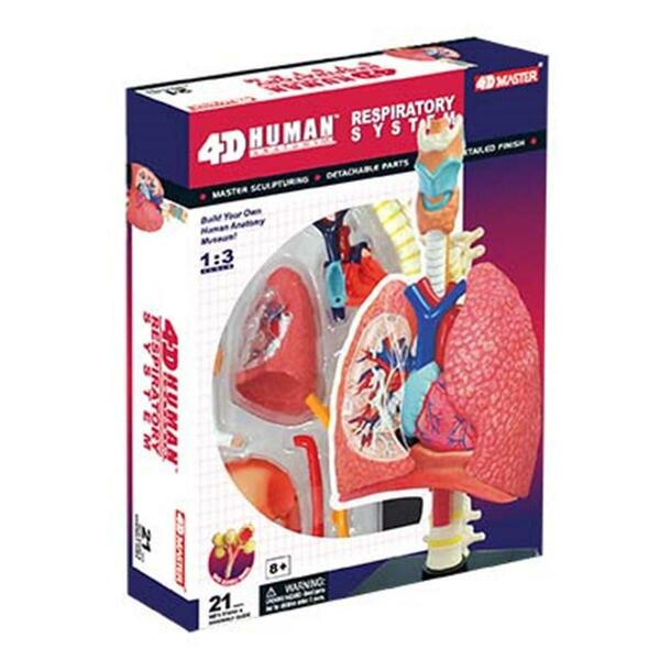 Tedco Toys 4D Human Anatomy Respiratory System Model 26082